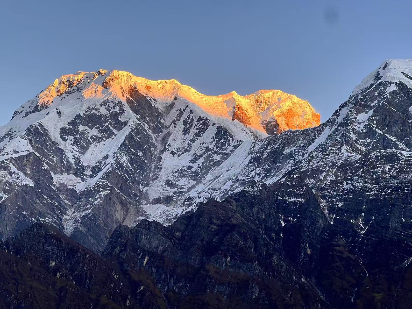 home-banner-background